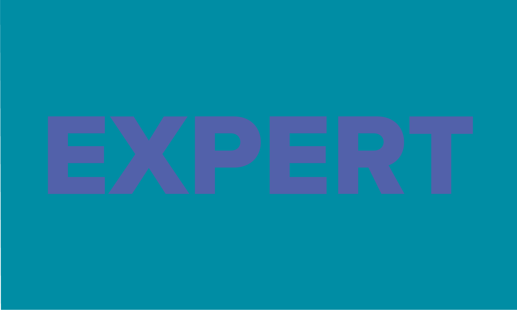 Dieses Bild enthält den Text "Expert" (deutsch: "Experte") und soll anschaulich für den Textbereich darunter sein.
